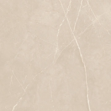 Керамогранит  NL00 60x60x9 Полир. (Керамический гранит) _11