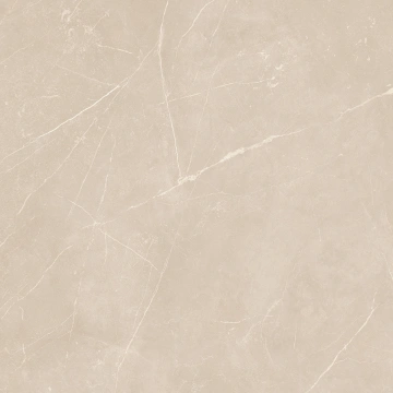 Керамогранит  NL00 60x60x9 Полир. (Керамический гранит) _14