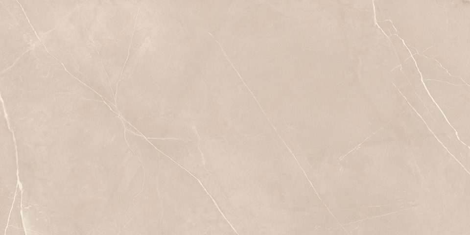 Керамогранит NL01 60x120x10 Полир. (Керамический гранит) — лицо плитки 9