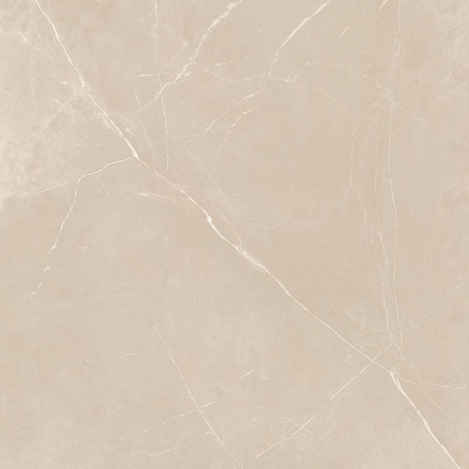 Керамогранит NL01 60x60x9 Непол.Рект. (Керамический гранит) #4