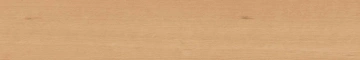 Керамогранит  BG00 19,4x120x10 Непол.Рект. (Керамический гранит) _4