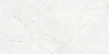 Керамогранит  NL01 60x60x10 Полир. (Керамический гранит) _7