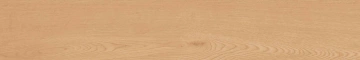 Керамогранит  BG00 19,4x120x10 Непол.Рект. (Керамический гранит) _5