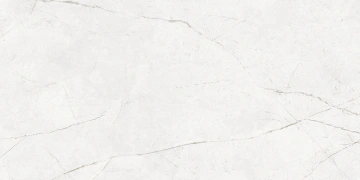 Керамогранит  NL01 60x60x10 Полир. (Керамический гранит) _6