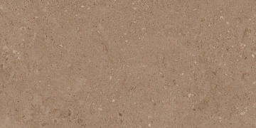 Керамогранит  NP01 30,6x60,9x8 Непол. (Керамический гранит) _11