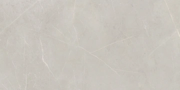 Керамогранит  NL04 60x60x10 Непол.Рект. (Керамический гранит) _9