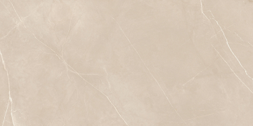 Керамогранит NL01 60x120x9 Полир. (Керамический гранит)-10